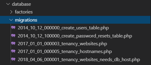 Tenancy migrations folder structure