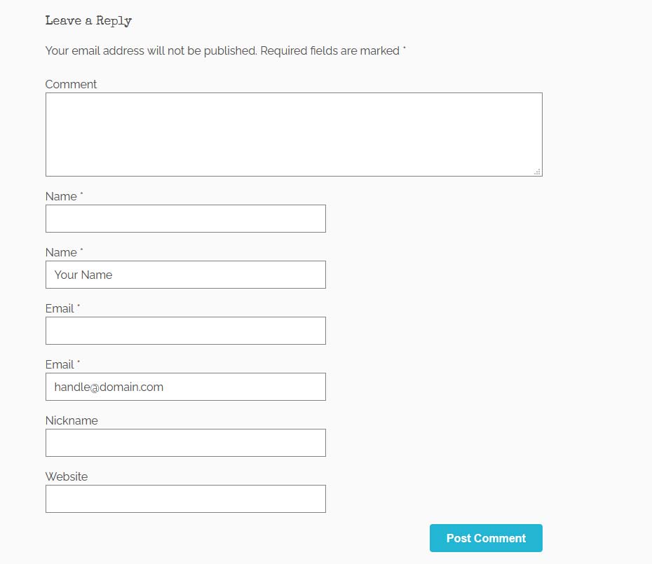 Duplicate fields on the WordPress comment form for blocking spam